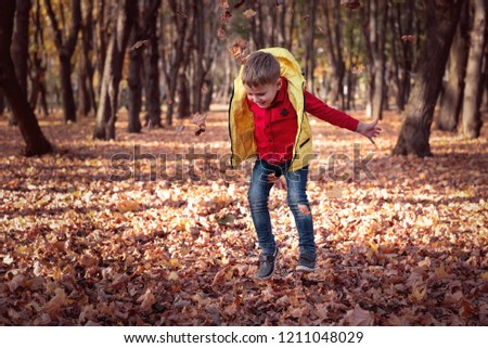 Happy boy in autumn park.