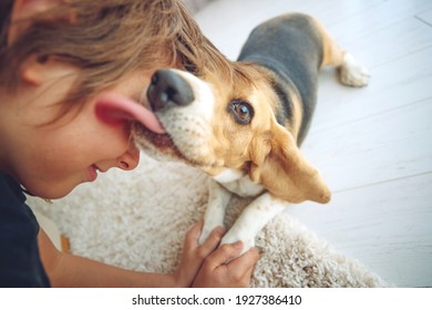 Happy Boy And Dog Beagle Hugs Her With Tenderness, Smiles, Looks At The Camera At Home. Pets. Emotions Of People. Childhood. Life Style. Animal Care. High Quality Photo.