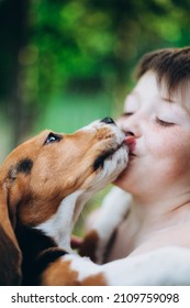 Happy boy with a dog (beagle puppy) licking his nose. Child and dog friendship