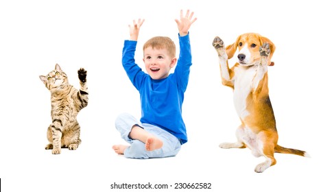 Happy boy, dog and cat together isolated on white background