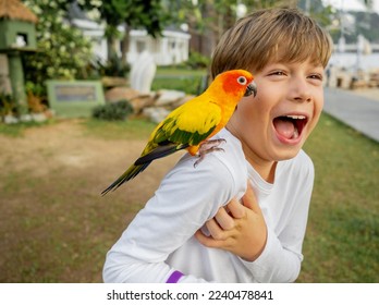 Happy boy is feeding hand birds colored parrots with grain. Outdoor. Spending time together