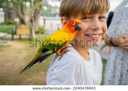 Happy boy is feeding hand birds colored parrots with grain. Outdoor. Spending time together