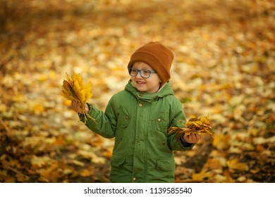 Happy Boy With Glasses On The Street In The Park In The Fall Holding The Leaves Of Maple