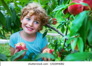 17,023 Child, peaches Images, Stock Photos & Vectors | Shutterstock