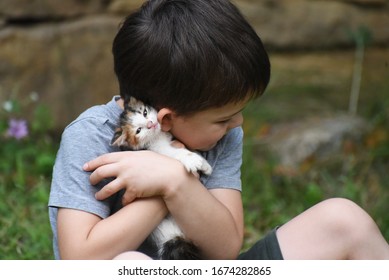 Happy Boy Holding And Hugs His Kitten. Child First Time Cuddle Little Kitty. Kids Play With Pets. Children And Domestic Animals