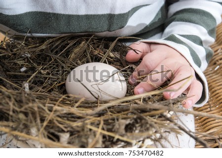 Similar – Foto Bild Es wird Herbst Umwelt