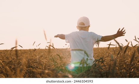 Happy boy kid running at sunlight dry wheat field with open hands enjoy childhood back view. Funny little male child relaxing sunny outdoor agriculture meadow with freedom and positive emotion closeup - Powered by Shutterstock