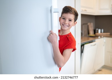 Happy boy looking out of the open fridge door
