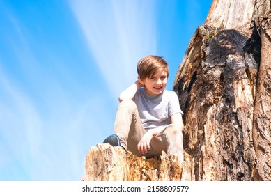 A Happy Boy Sits On A Stump, Tree, Snag. Child On A Hike, In Nature, On A Sunny Summer Day