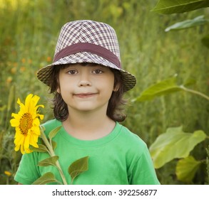 Happy Boy Sunflower Outdoors Stock Photo 392256877 | Shutterstock