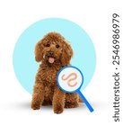 Happy brown poodle with magnifying glass highlighting worms, representing pet health issues. Contemporary conceptual art. Concept of pet care, veterinary, health, treatment, animals