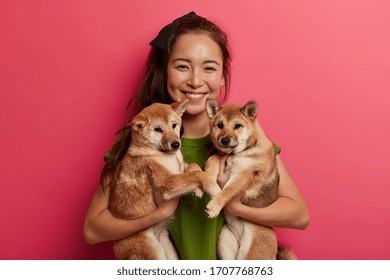 Happy brunette girl adopts two puppies from shelter, happy to have new friends, holds pets, being dog lover, going to walk. Animal owner suggests to adopt pet, smiles gladfully have friendly relations