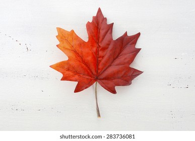 Happy Canada Day Red Silk Maple Leaf  On White Wood Shabby Chic Table 