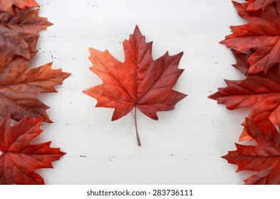 Happy Canada Day red silk leaves in shape of Canadian Flag on white shabby chic wood table. 