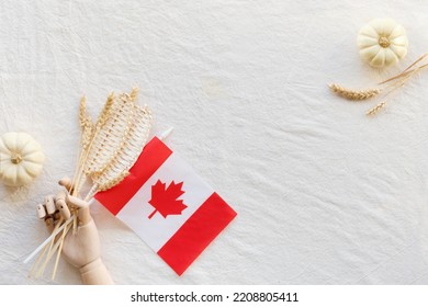 Happy Canada Thanksgiving Day. Canadian Flag And Wheat Ears In Hand On Off White Beige Textile With Pumpkin. Flat Lay, Top View, Simple Harvest With Copy-space, Place For Text..