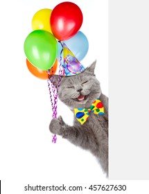 Happy Cat in birthday hat holding balloons and peeking from behind empty board. isolated on white background