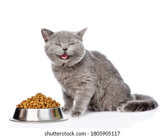 Happy Cat Sits With Bowl Of Dry Food For Pets. Isolated On White Background