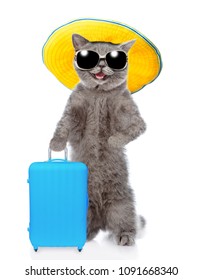 Happy Cat In Summer Hat And With Sunglasses Holds Suitcase. Isolated On White Background