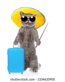 Happy Cat In Summer Hat And With Sunglasses Holds Suitcase And Pointing Away. Isolated On White Background