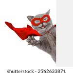 Happy cat wearing superhero costume looking above from behind blank white banner and waves his paw. Isolated on white background.