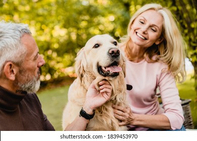 Happy caucasian senior couple petting their dog in autumn park