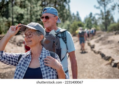 Happy caucasian senior couple walking in footpath in mountain excursion smiling enjoying free time and adventure in nature, elderly retired people and healthy lifestyle concept - Shutterstock ID 2231400067