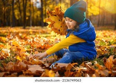 Happy cheerful child, adorable baby girl in bright colorful warm clothes playing among fallen maple leaves and gathering dry bouquet. Sunbeams falling through trees on the autumn forest park at sunset