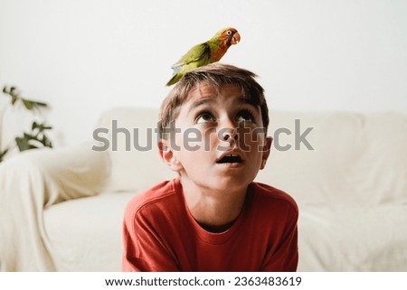 Happy child boy and parrot bird having fun together at home - Owner and pet relationship, exotic animal concept