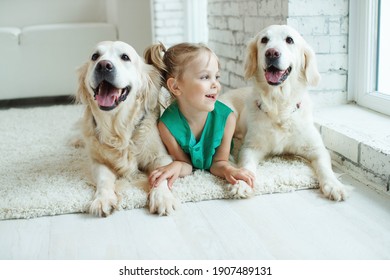 Happy Child With A Dog. Portrait Of A Girl With A Pet. Labrador Retriever At Home. . High Quality Photo.