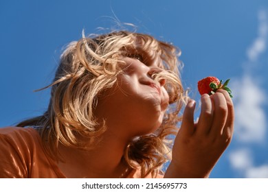 A Happy Child Eats Strawberries On A Summer Day Outdoors. Healthy Food . Girl 10 - 11 Years Old Eats Berries Against The Blue Sky, Shot From Below.