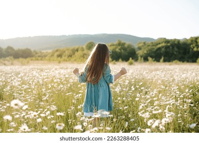 Happy child girl 3-4 year old walk in chamomile meadow pick up flowers outdoor back view. Springtime. Childhood. 