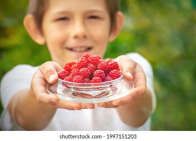 Happy child holding fresh raspberries in his hands.