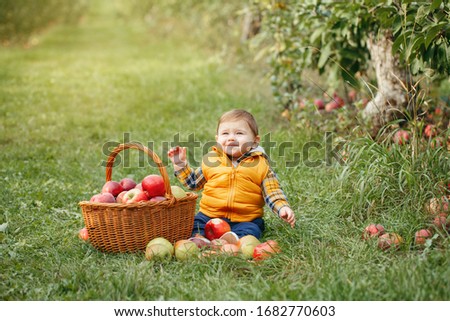 Similar – Image, Stock Photo Little girl woman carrying wicker basket with fresh organic apples