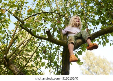 Happy Child Playing In The Garden Climbing On The Tree

