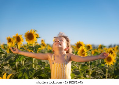 43,836 Smile sunflower Images, Stock Photos & Vectors | Shutterstock