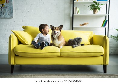 happy child sitting on yellow sofa with pets