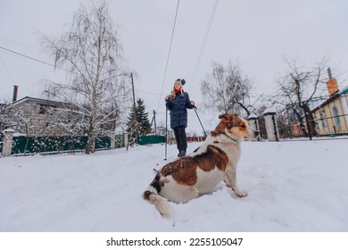 Happy child is skiing in the park. A teenager is engaged in winter sports in nature with his beloved pet. A beautiful girl walks with a dog along a winter road. Children go skiing during the holidays. - Shutterstock ID 2255105047
