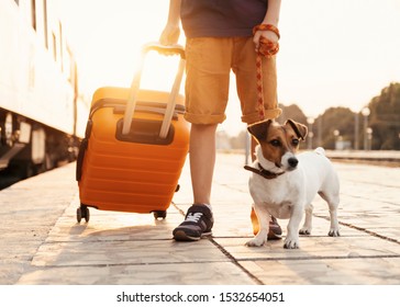 Happy Child Is Standing On Platform Of Railway Station With His Dog Jack Russell Terrier In His Hand With Orange Suitcase And Waiting For Train To Leave At Sunset. Family Trip. Lifestyle. Travel. Tour
