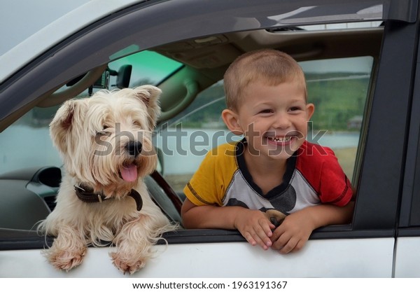 happy child together with the dog\
inside the car having fun and enjoy the journey in the\
summer