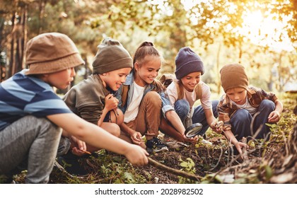 Happy children boys and girls in casual clothes with backpacks making bonfire with magnifying glass together in green forest during school camping activity on sunny day, smiling kids exploring nature - Shutterstock ID 2028982502