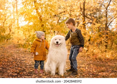 Happy Children Play With Big White Samoyed Dog In The Autumn Forest. Brother And Sister Hug A Dog In The Park Against A Background Of Yellow Leaves. Family Walk In The Autumn Forest.