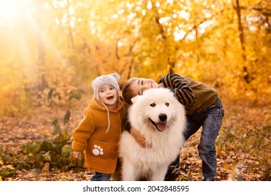 Happy Children Play With Big White Samoyed Dog In The Autumn Forest. Brother And Sister Hug A Dog In The Park Against A Background Of Yellow Leaves. Family Walk In The Autumn Forest.