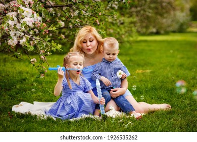 Happy Chubby Mom And Two Kids Boy And Girl In A Blooming Spring Apple Orchard On A Spring Picnic. They Start Blowing Soap Bubbles.