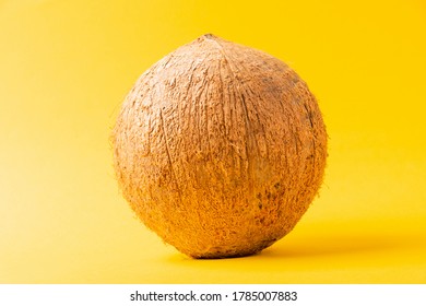 Happy Coconuts Day Concept, Whole Coconut, Studio Shot Isolated On Yellow Background, Tropical Fruit