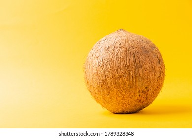 Happy Coconuts Day Concept, Whole Coconut, Studio Shot Isolated On Yellow Background, Tropical Fruit