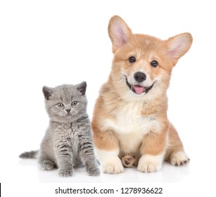 Happy Corgi Puppy With Open Mouth And Tiny Kitten Together. Isolated On White Background