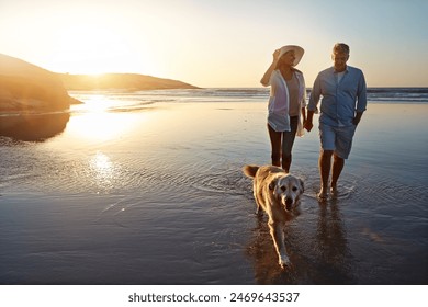 Happy, couple and beach with dog at sunset for outdoor travel, summer holiday and vacation together. Man, woman and holding hands with furry pet by ocean for trust, love and adventure in Sweden - Powered by Shutterstock