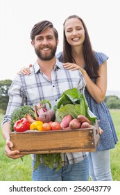 Happy Couple With Box Of Veg On A Sunny Day