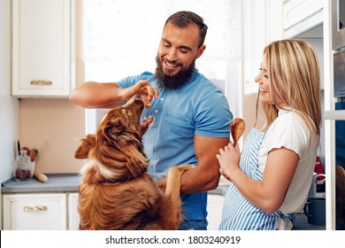 Happy Couple Cooking Food At Kitchen With Their Dog