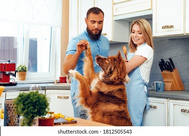 Happy Couple Cooking Food At Kitchen With Their Dog